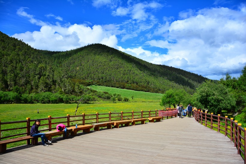 云南普达措国家公园风景图片