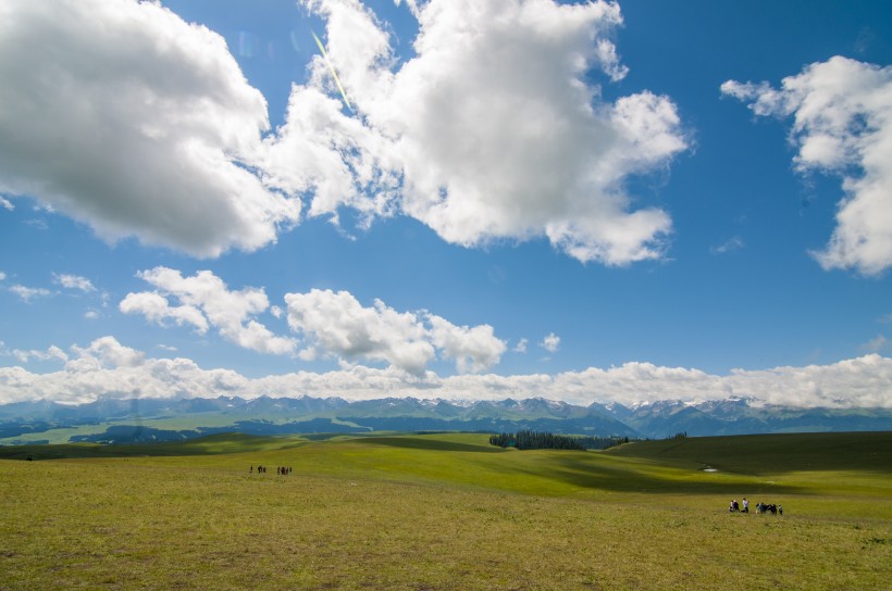 新疆美麗的天山牧場風(fēng)景圖片