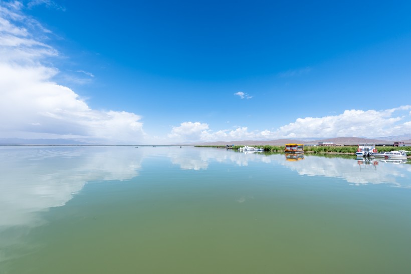 青海夏季草原自然风景图片