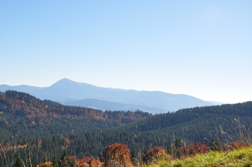 烏克蘭喀爾巴阡山自然風景圖片