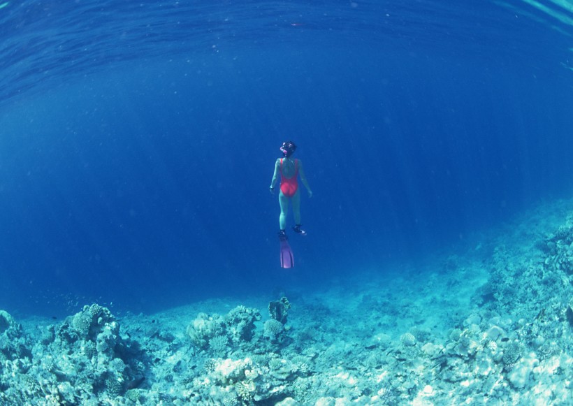 海底潛水圖片