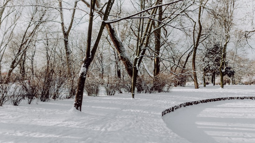 公園里的雪景圖片