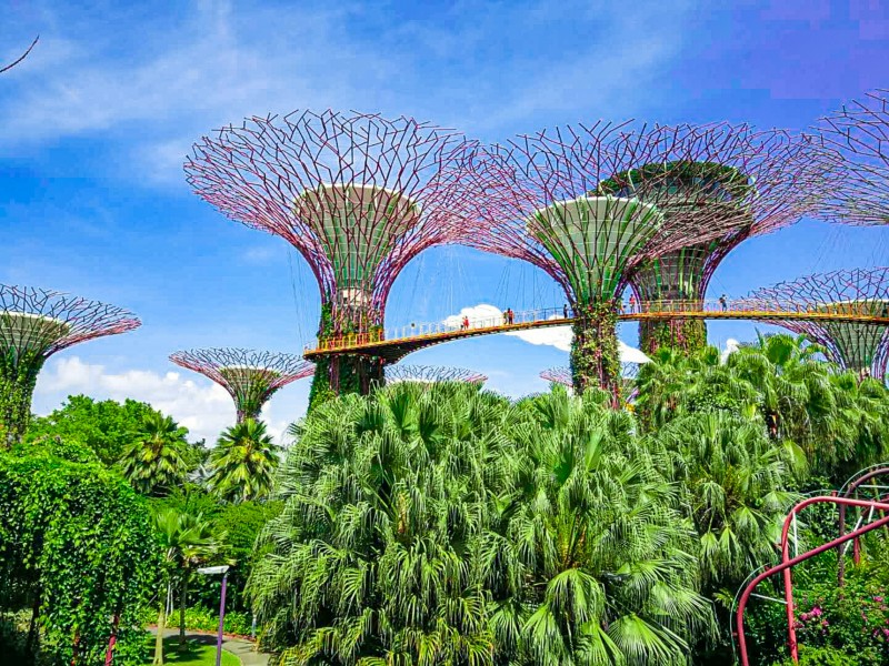 新加坡滨海湾花园风景图片
