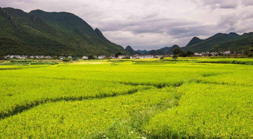 贵州万峰林自然风景图片