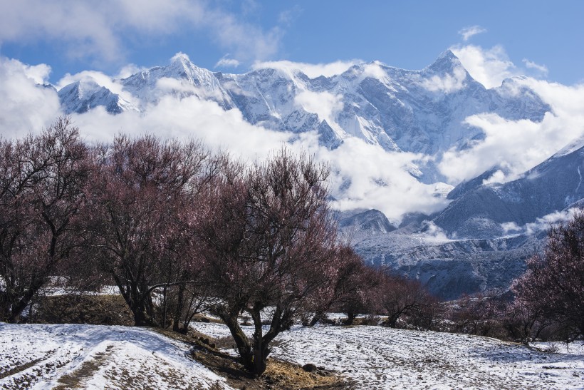 雪后的索松村風(fēng)景圖片