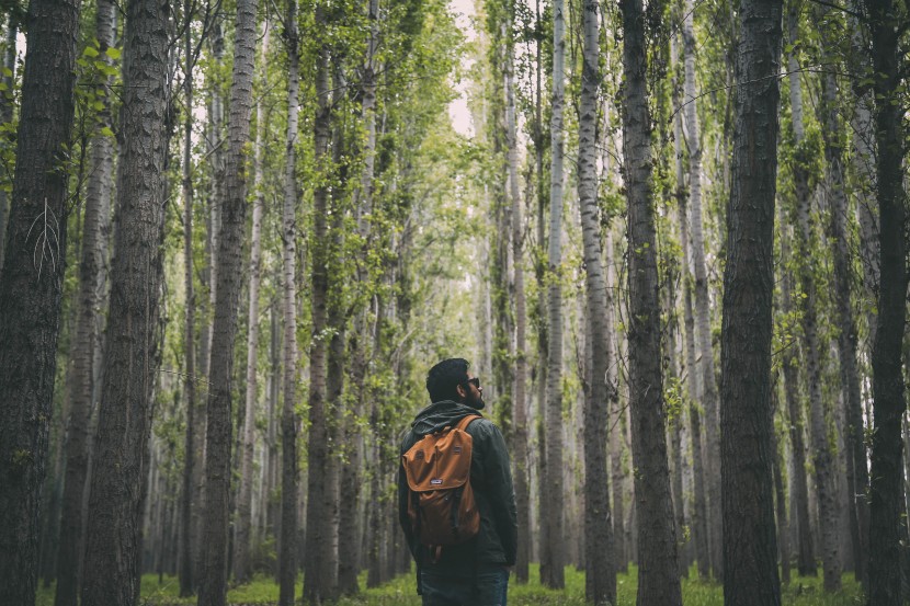 森林中的人物图片