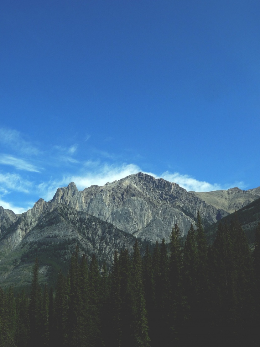 瑞士阿尔卑斯山风景图片