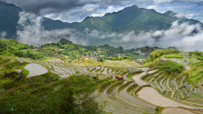 浙江丽水云和梯田风景图片