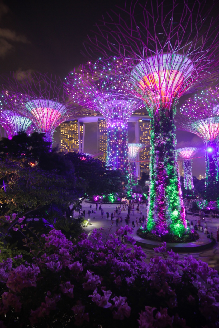 新加坡滨海湾花园风景图片