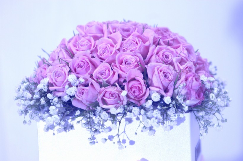 一束漂亮浪漫的玫瑰花图片