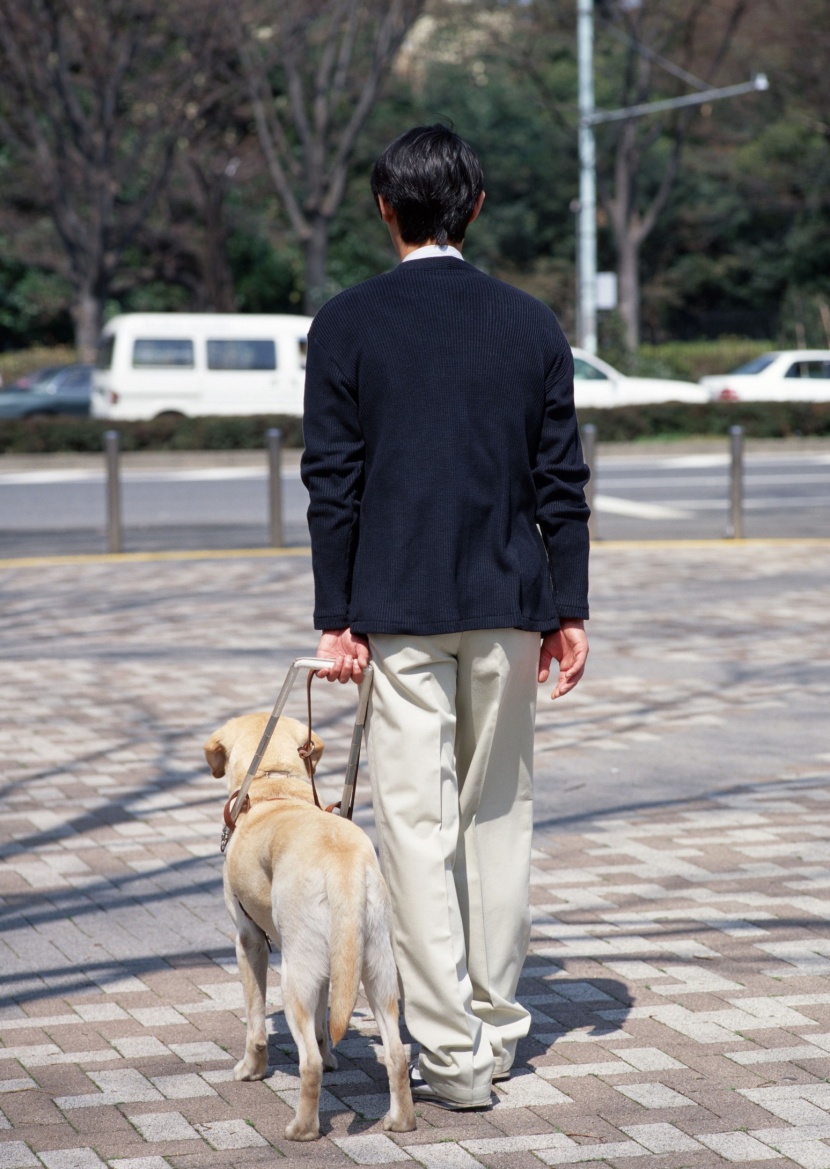 盲人和导盲犬日常生活图片