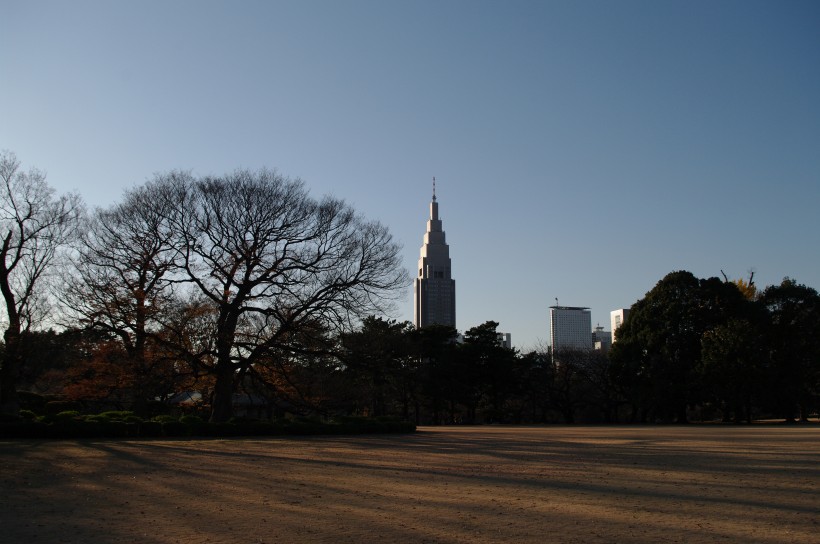 日本新宿御苑的图片