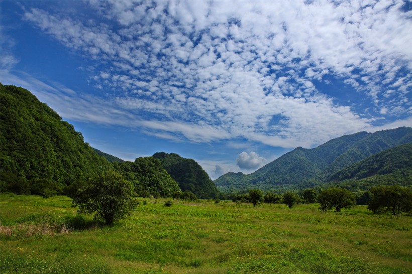 湖北神农架大九湖风景图片