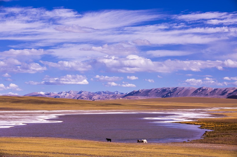 西藏阿里改则风景图片