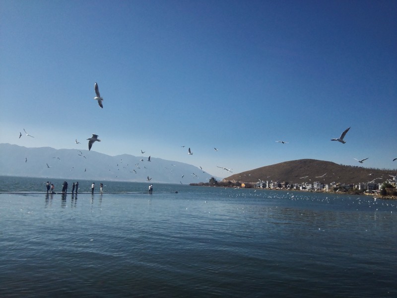 云南昆明大理洱海风景图片