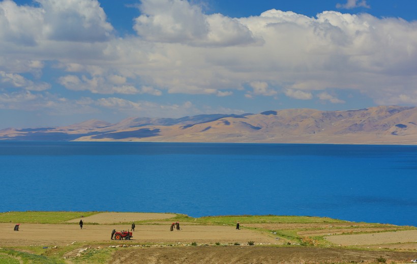 西藏文布南村风景图片