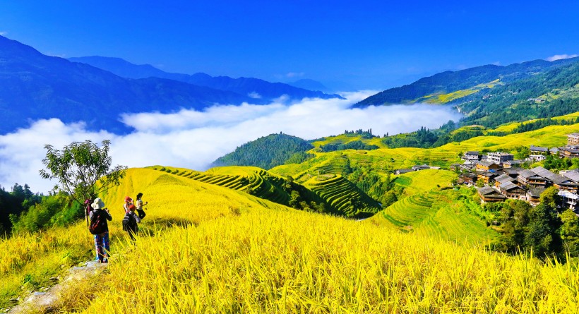 广西龙脊梯田风景图片