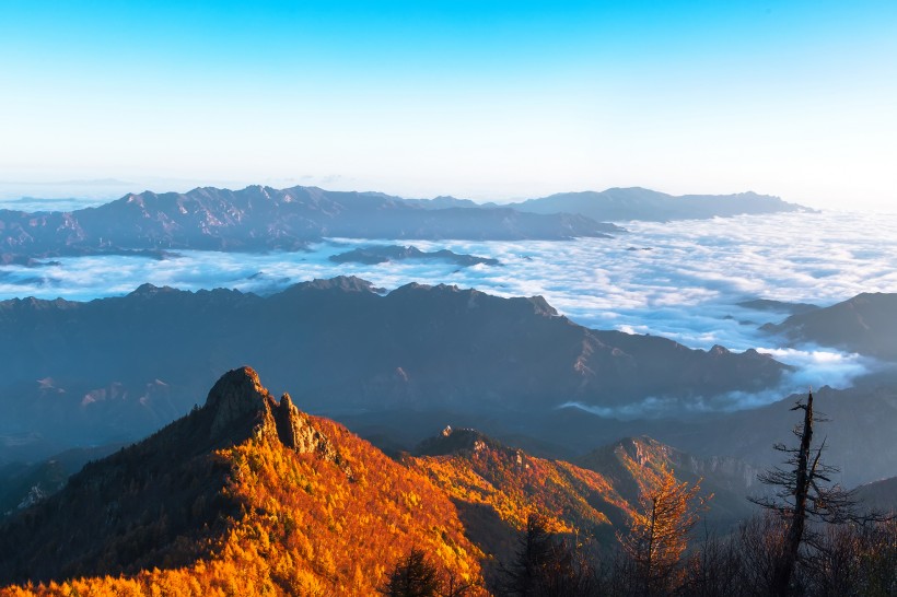 河北雾灵山迷人秋色图片