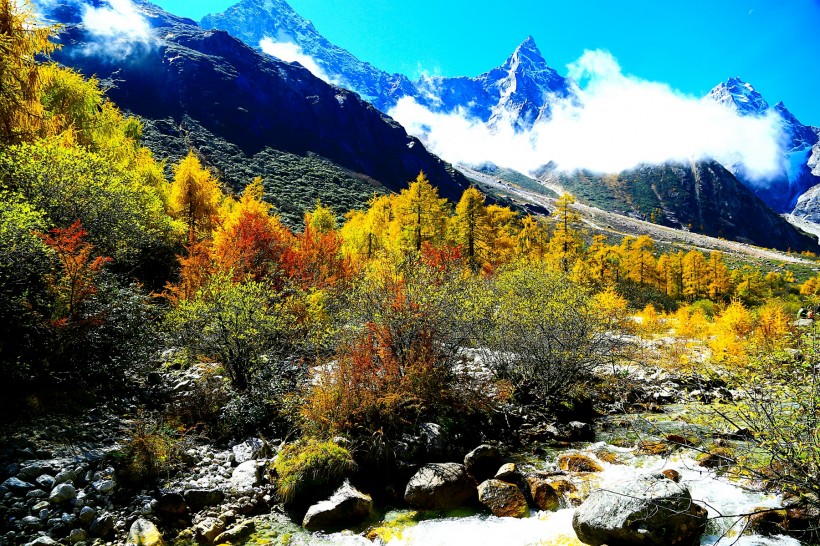 四川毕棚沟风景图片