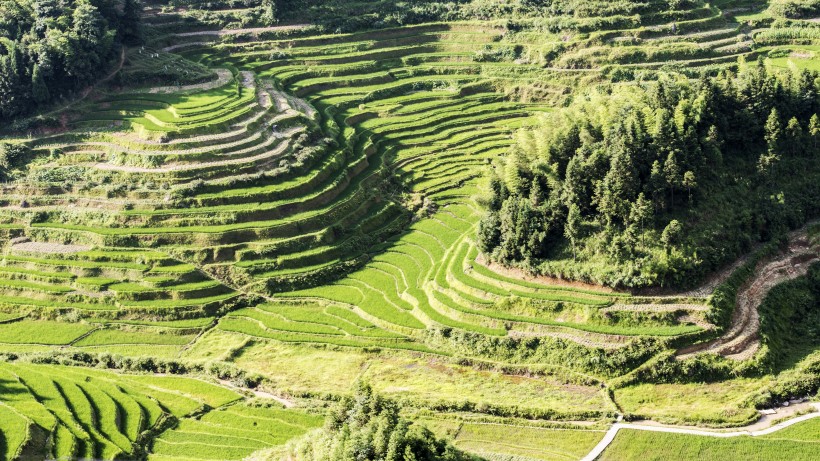 湖南紫鹊界梯田风景图片