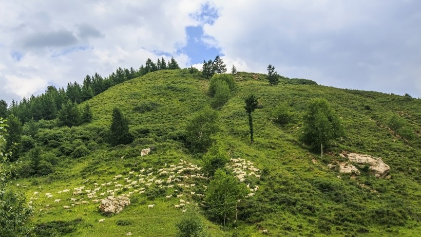 山西宁武芦芽山风景图片