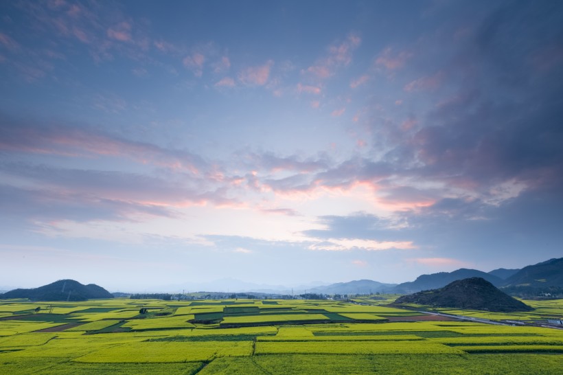 云南罗平油菜花风景图片