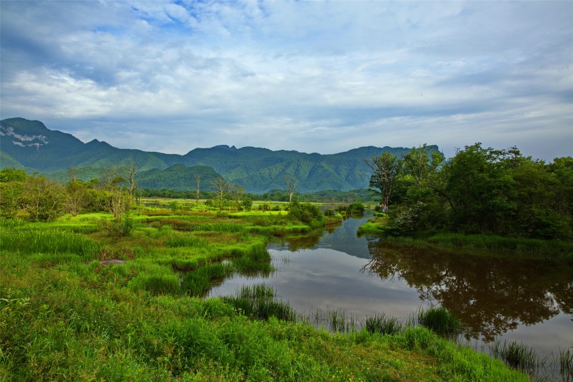 湖北神农架大九湖风景图片