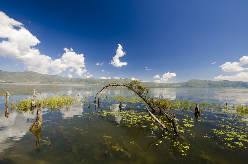 大理海舌生态公园风景图片