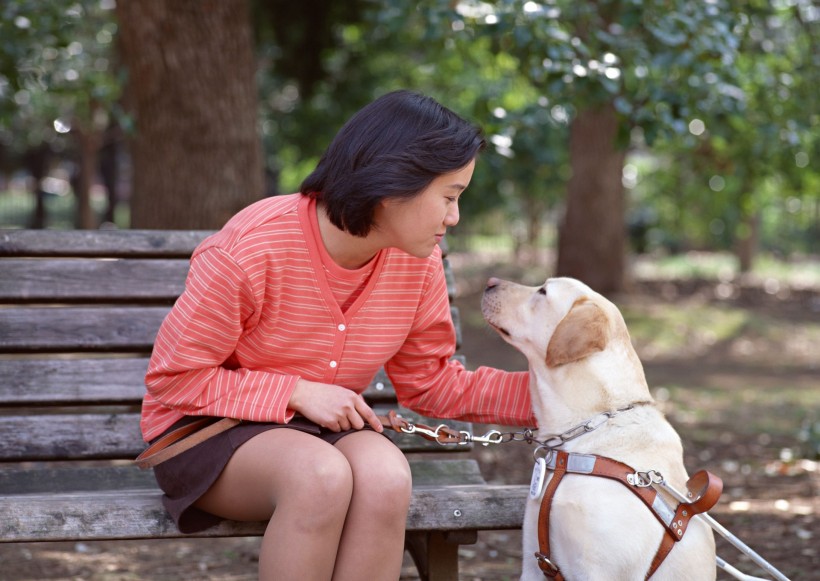 盲人和导盲犬日常生活图片