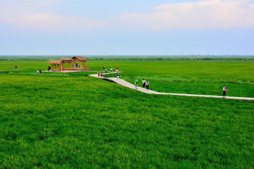 辽宁盘锦红海滩风景图片