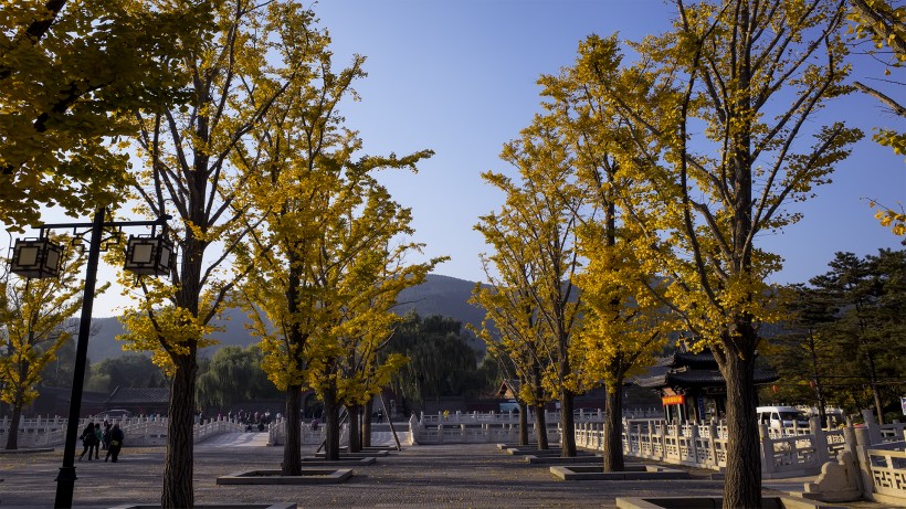 山西太原晋祠风景图片