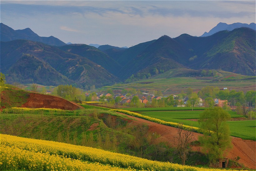 陜西西安鮑旗寨村油菜花風(fēng)景圖片