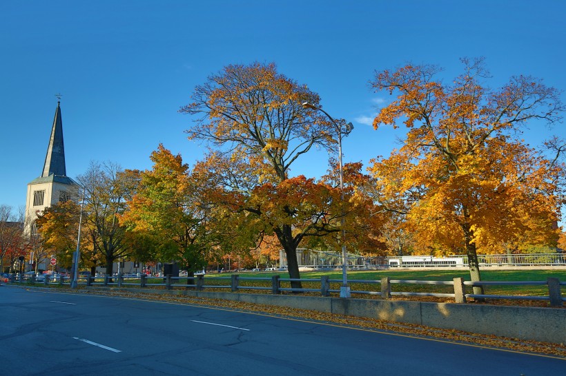 美国哈佛大学校园风景图片