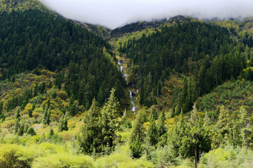 四川四姑娘山撵鱼坝风景图片