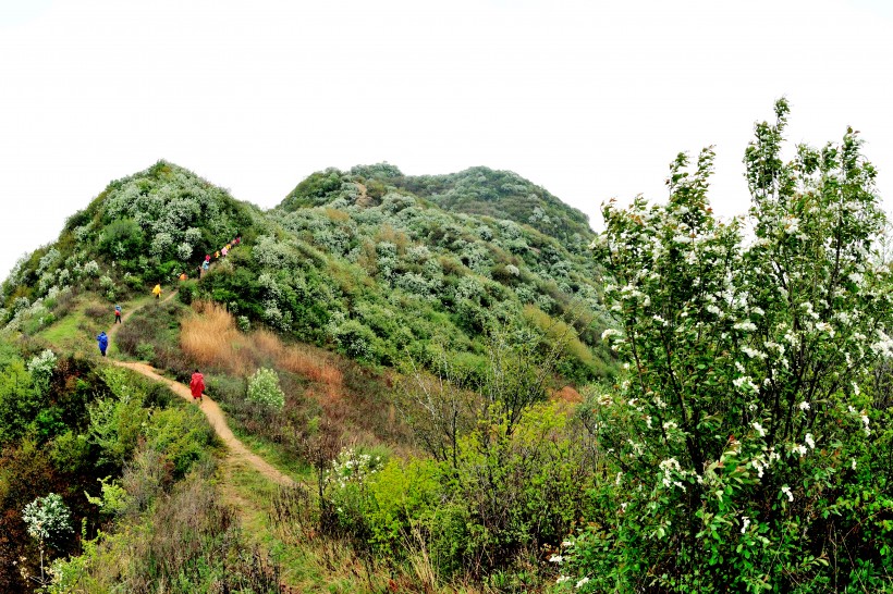 陕西西安风景图片