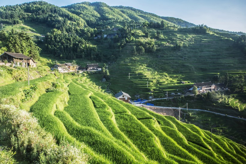 湖南紫鹊界梯田风景图片