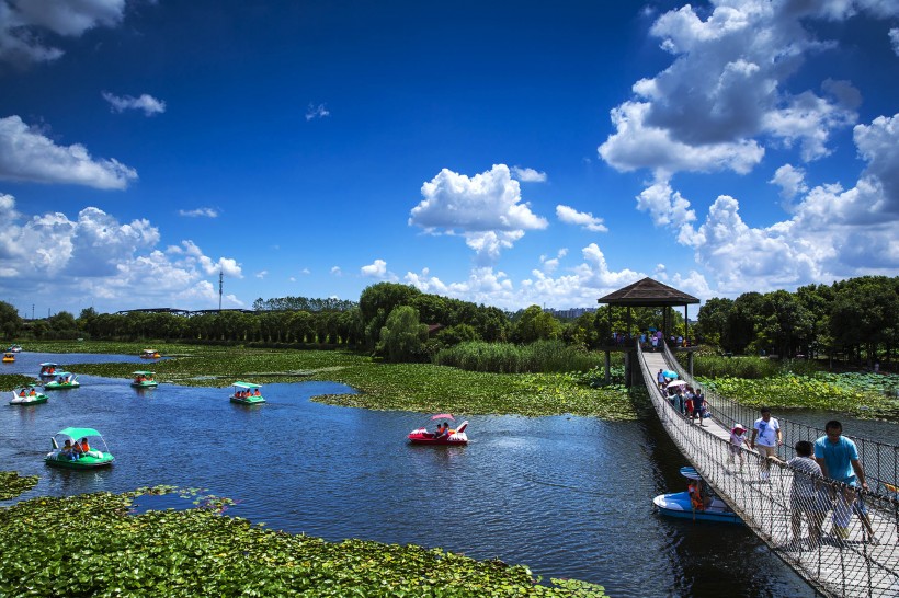 山东胶州湿地公园风景图片