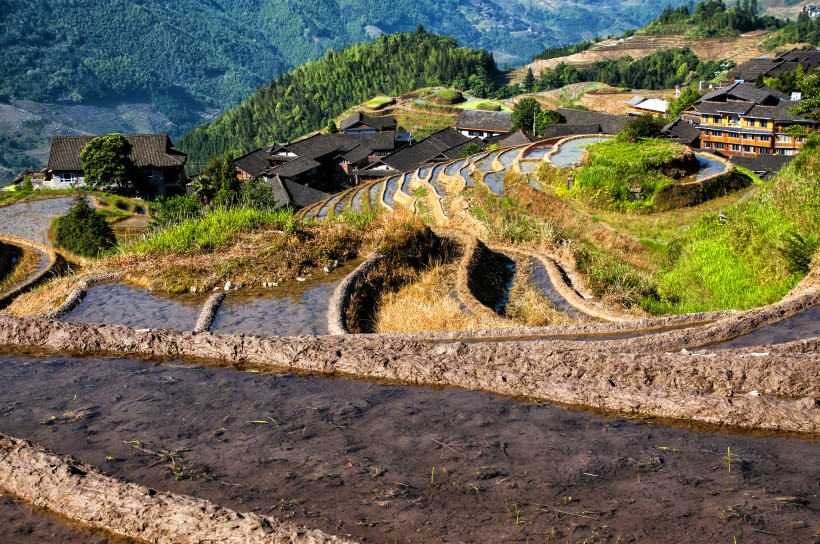 广西龙脊梯田风景图片