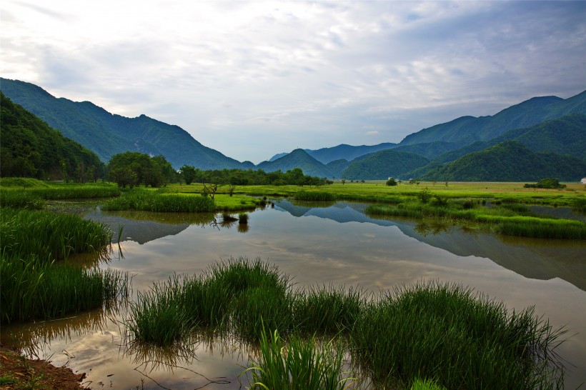 湖北神农架大九湖风景图片