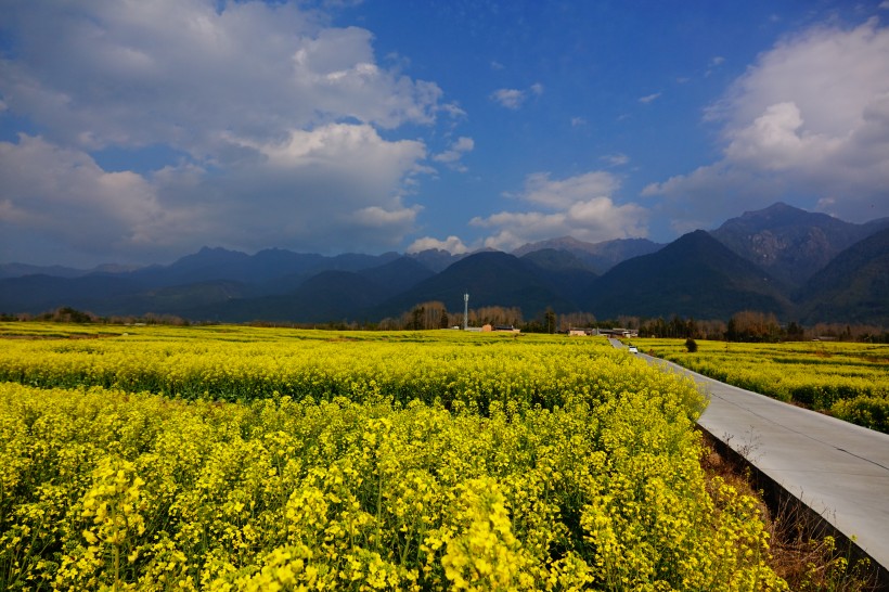 云南腾冲田园风景图片