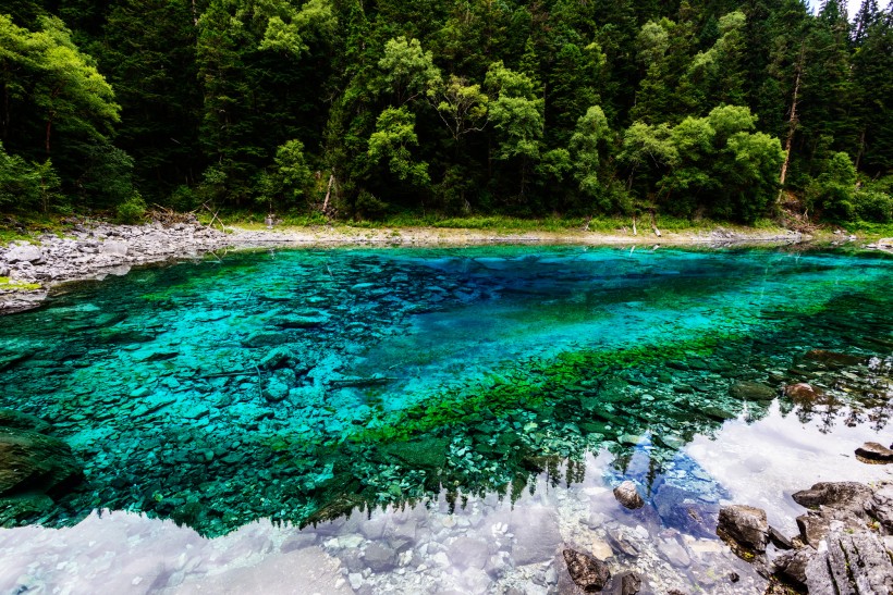 夏日九寨沟风景图片