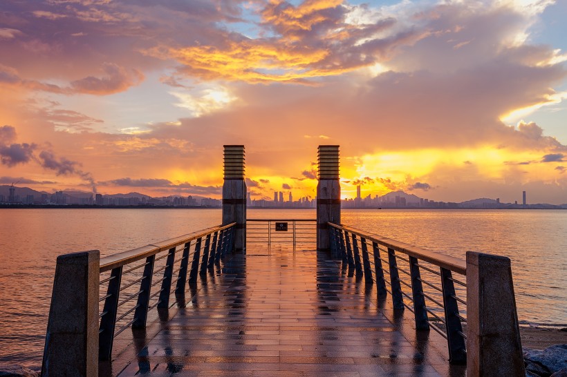 深圳湾风景图片