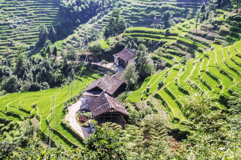 湖南紫鵲界梯田風(fēng)景圖片