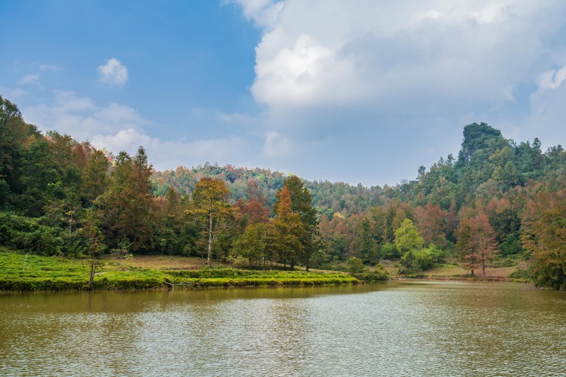 广西德保红枫森林公园风景图片