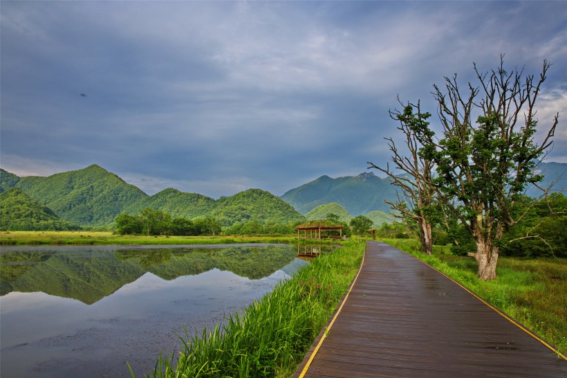 湖北神农架大九湖风景图片