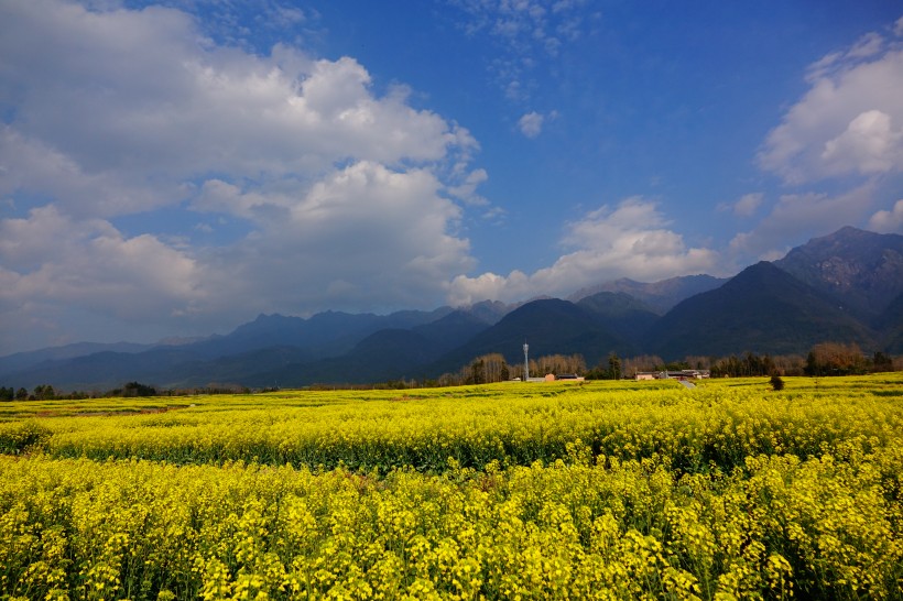 云南腾冲田园风景图片