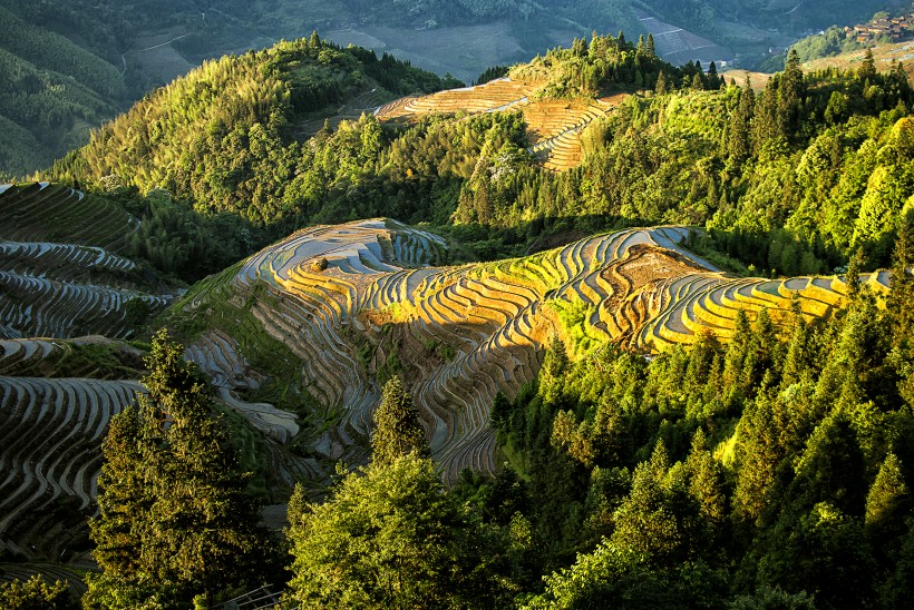 广西龙脊梯田风景图片