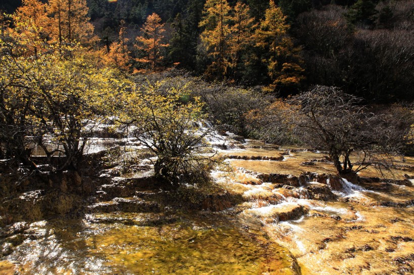 四川黄龙风景图片