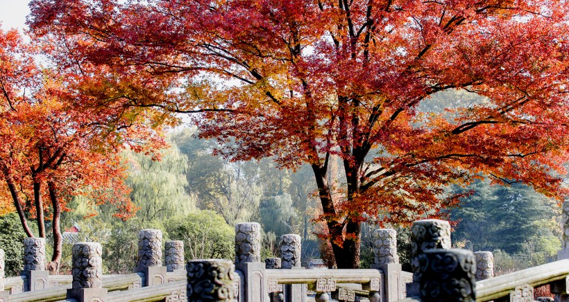 江苏南京明孝陵秋景图片