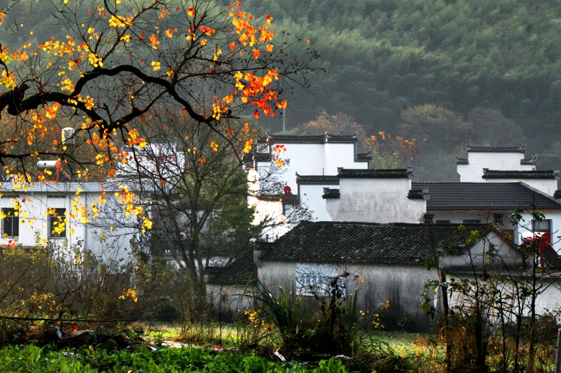 安徽塔川风景图片